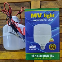 Bóng đèn kẹp ắc quy 12V-30W